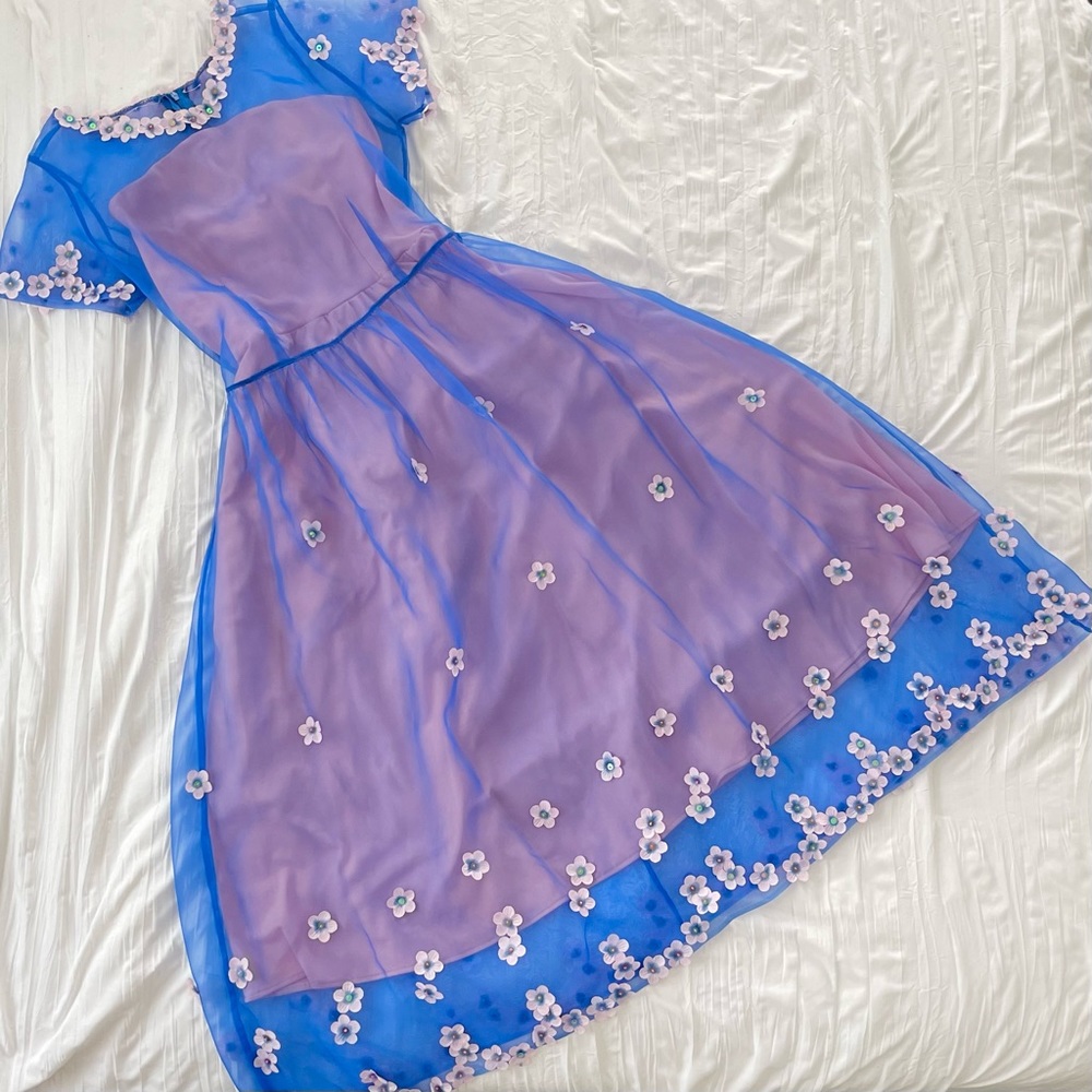 One of a Kind Sheer Blue and Pink Midi Dress 💙🌸